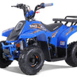 Load image into Gallery viewer, taotao 110cc atv ntxpowersports.com