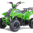 Load image into Gallery viewer, taotao 110cc atv ntxpowersports.com