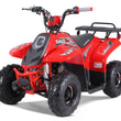 Load image into Gallery viewer, new taotao 110cc atv ntxpowersports.com