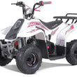 Load image into Gallery viewer, taotao 110cc atv ntxpowersports.com
