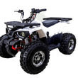 Load image into Gallery viewer, Raptor 125cc,Air cooled, 4-stroke, 1-cylinder,automatic