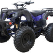 Load image into Gallery viewer, Rps Tk200-B5 Atv 200CC Electric Start, Fully Auto With Reverse