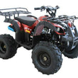 Load image into Gallery viewer, Vitacci RIDER-9 125cc ATV, Single Cylinder, 4 Stroke, Air-Cooled