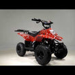Load and play video in Gallery viewer, Taotao Boulder B1 ATV, 110CC Air cooled, 4-Stroke