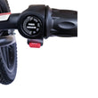 Load image into Gallery viewer, BROCUSA 16-inch Balance E-Bike-Black | Free Shippin