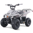 Load image into Gallery viewer, Taotao Boulder 107cc ATV https://ntxpowersports.com/
