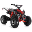 Load image into Gallery viewer, Apollo BLAZER 9 DLX 125cc ATV, 9" TIRE, Air Cooled, 4 Stroke | CARB Approved