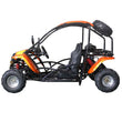 Load image into Gallery viewer, Vitacci T-Rex 125cc 4 Stroke Air Cooled Automatic with Reverse | Youth Go-kart