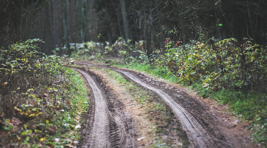 What Is an ATV? Types, Safety, and How to Choose