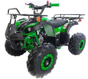 Taotao ATA-125D 125cc ATV Mid Size Kids ATV