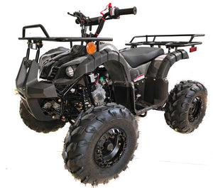 Taotao ATA-125D 125cc ATV Mid Size Kids ATV