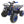 Load image into Gallery viewer, Taotao ATA-125D 125cc ATV Mid Size Kids ATV
