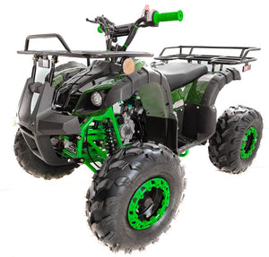 Taotao ATA-125D 125cc ATV Mid Size Kids ATV