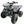 Load image into Gallery viewer, Taotao ATA-125D 125cc ATV Mid Size Kids ATV
