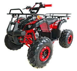 CT-125 125cc ATV, 4 STROKE ( CARB Approved )