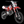 Load image into Gallery viewer, HHH 125cc Apollo X19 RFZ Adult Gas Dirt Pitbike with Headlight
