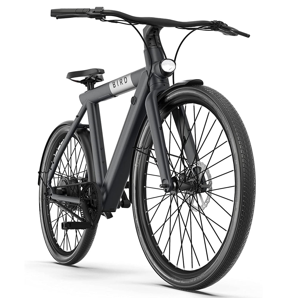 thunderbird electric bicycle Bird A-Frame eBike 500W – LCD & App