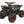 Load image into Gallery viewer, 125cc Youth ATV 4-stroke 1-cylinder JUST ARRIVED 2025
