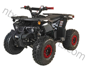 HHH 125cc Youth ATV 4-stroke 1-cylinder JUST ARRIVED 2025