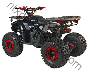 HHH 125cc Youth ATV 4-stroke 1-cylinder JUST ARRIVED 2025