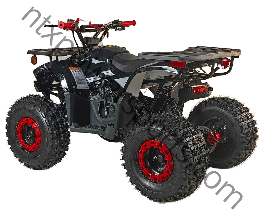 125cc Youth ATV 4-stroke 1-cylinder JUST ARRIVED 2025