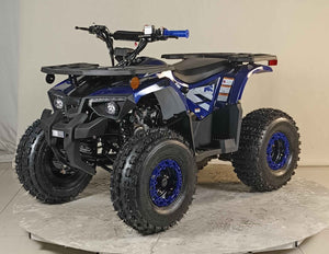 125cc Youth ATV 4-stroke 1-cylinder JUST ARRIVED 2025