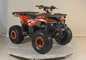 125cc Youth ATV 4-stroke 1-cylinder JUST ARRIVED 2025