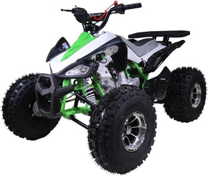 New Cheetah 125cc ATV-mid-size-atv-automatic w/reverse air cooled 4-stroke