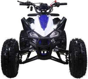 New Cheetah 125cc ATV-mid-size-atv-automatic w/reverse air cooled 4-stroke