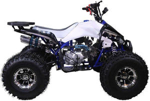 New Cheetah 125cc ATV-mid-size-atv-automatic w/reverse air cooled 4-stroke