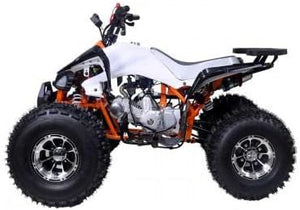 New Cheetah 125cc ATV-mid-size-atv-automatic w/reverse air cooled 4-stroke