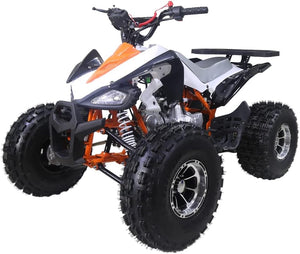 New Cheetah 125cc ATV-mid-size-atv-automatic w/reverse air cooled 4-stroke