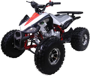 New Cheetah 125cc ATV-mid-size-atv-automatic w/reverse air cooled 4-stroke