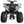 Load image into Gallery viewer, HHH 125cc ATV Quad Youth Utility Style ATV 125cc Fully Automatic w Reverse Gas ATV 4 Wheeler Big Tires19/ 18&quot;

