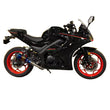 Load image into Gallery viewer, HHH 250cc Street Bike Pista 250 EFI Motorcycle Fuel Injection Manual 6 Speed for Adult Gas Bike (Assembled Inside a Crate)

