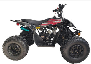 125cc Fully Automatic Youth ATV Gas Quad W/Reverse Big Tires 19"/18"