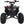 Load image into Gallery viewer, 125cc Fully Automatic Youth ATV Gas Quad W/Reverse Big Tires 19&quot;/18&quot;
