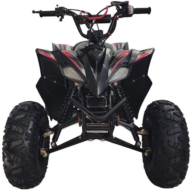 125cc Fully Automatic Youth ATV Gas Quad W/Reverse Big Tires 19"/18"