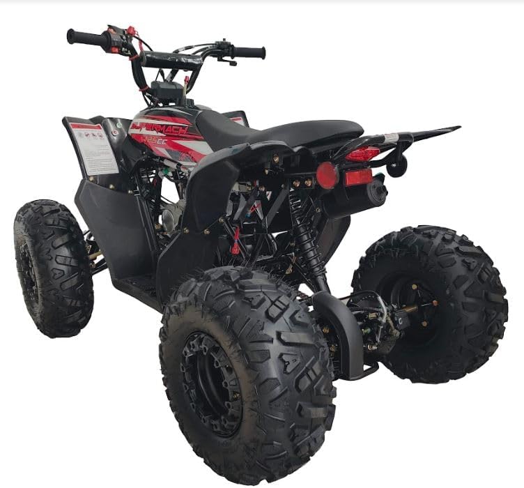 Fully Automatic 125cc Youth ATV Gas Quad W/Reverse Big Tires 19"/18"