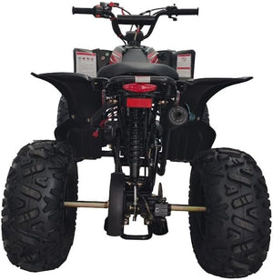 Fully Automatic 125cc Youth ATV Gas Quad W/Reverse Big Tires 19"/18"