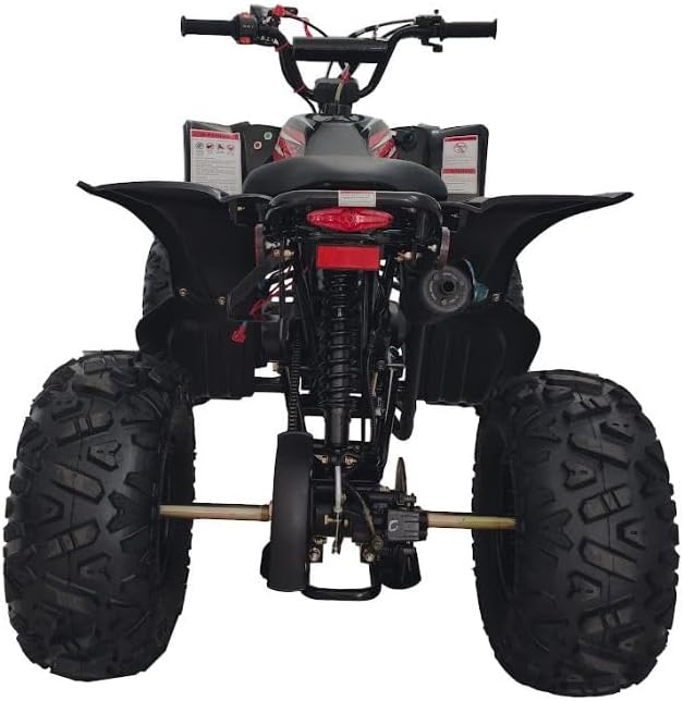 Fully Automatic 125cc Youth ATV Gas Quad W/Reverse Big Tires 19"/18"