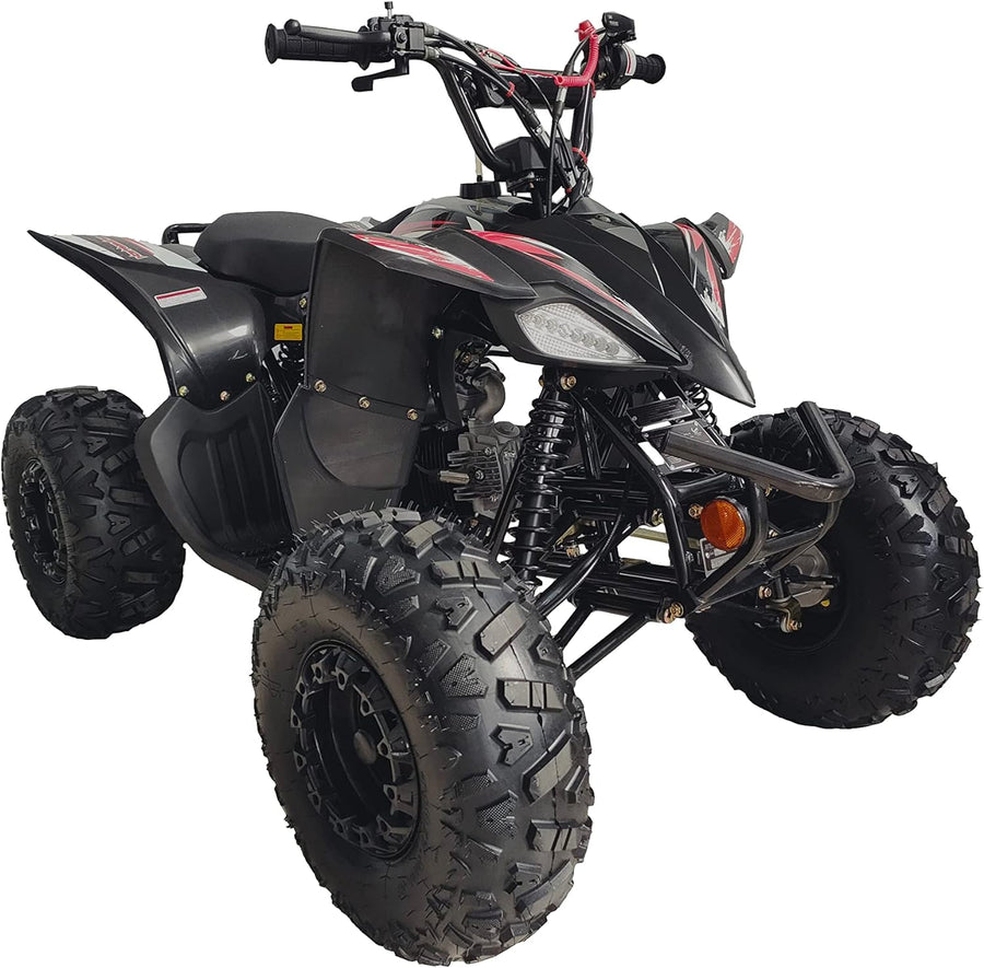 Fully Automatic 125cc Youth ATV Gas Quad W/Reverse Big Tires 19"/18"