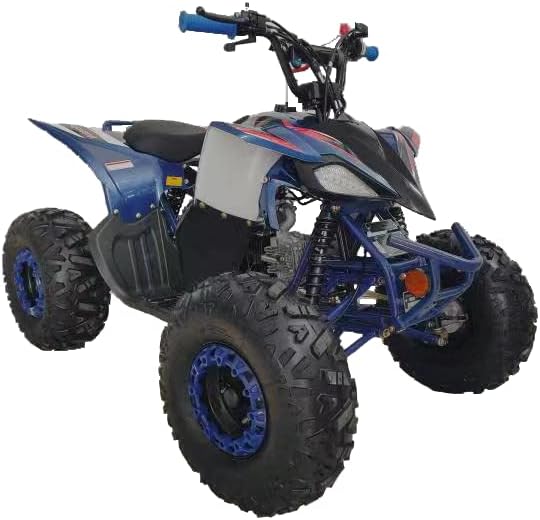 Fully Automatic 125cc Youth ATV Gas Quad W/Reverse Big Tires 19"/18"