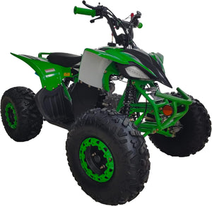 125cc Fully Automatic Youth ATV Gas Quad W/Reverse Big Tires 19"/18"