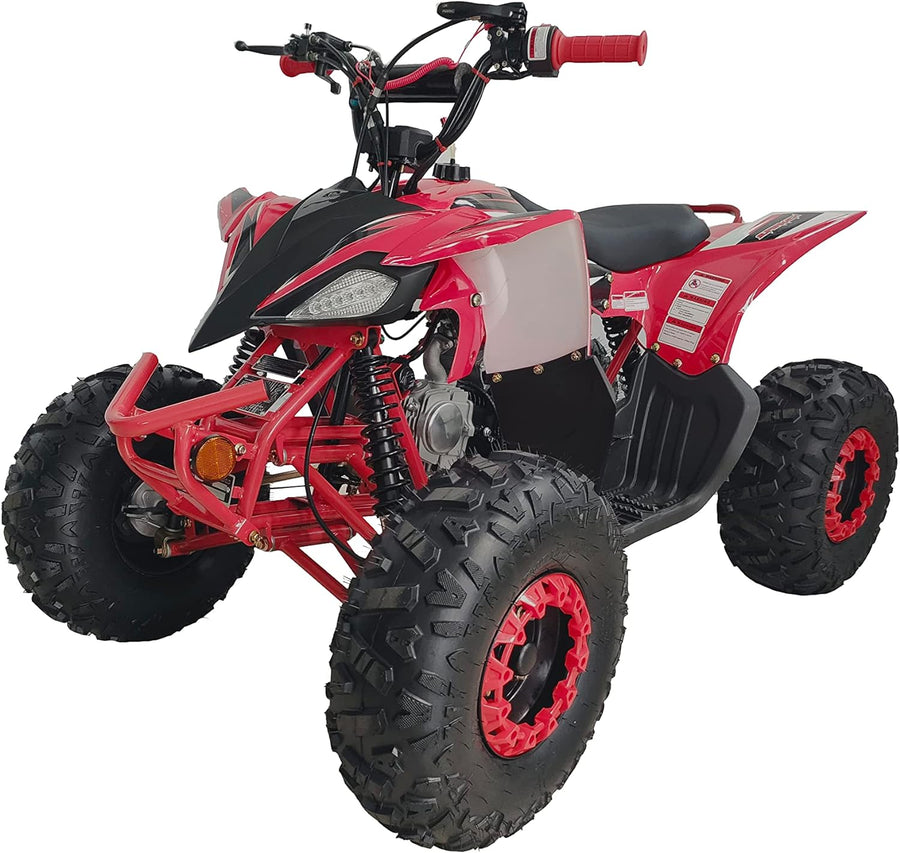 125cc Fully Automatic Youth ATV Gas Quad W/Reverse Big Tires 19"/18"