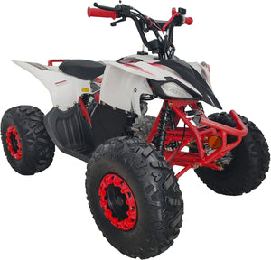 Fully Automatic 125cc Youth ATV Gas Quad W/Reverse Big Tires 19"/18"