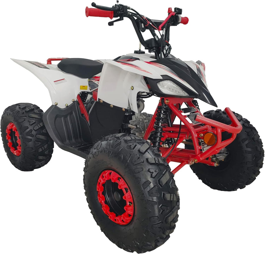 Fully Automatic 125cc Youth ATV Gas Quad W/Reverse Big Tires 19"/18"