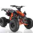 Load image into Gallery viewer, Apollo BLAZER 9 DLX 125cc ATV, 9" TIRE, Air Cooled, 4 Stroke | CARB Approved
