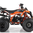 Load image into Gallery viewer, Apollo Sportrax 125cc Youth ATV -Fully Automatic Transmission Electric Start
