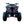 Load image into Gallery viewer, Vitacci Rider 10 110cc ATV 4 STROKE ( CARB Approved )
